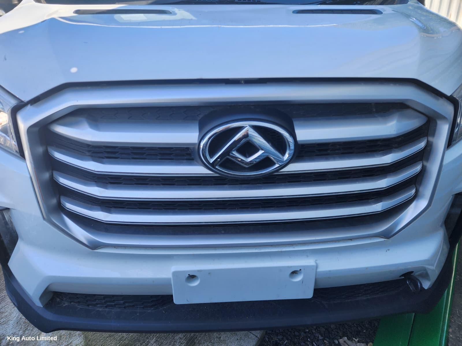 LDV DELIVER 9 2021 Grille thumbnail 3