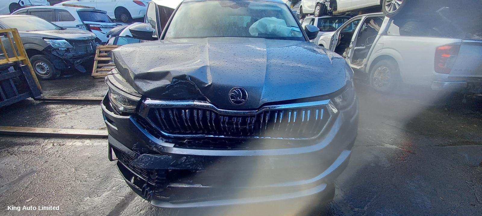 Skoda KODIAQ 2022 Left Guard thumbnail 2