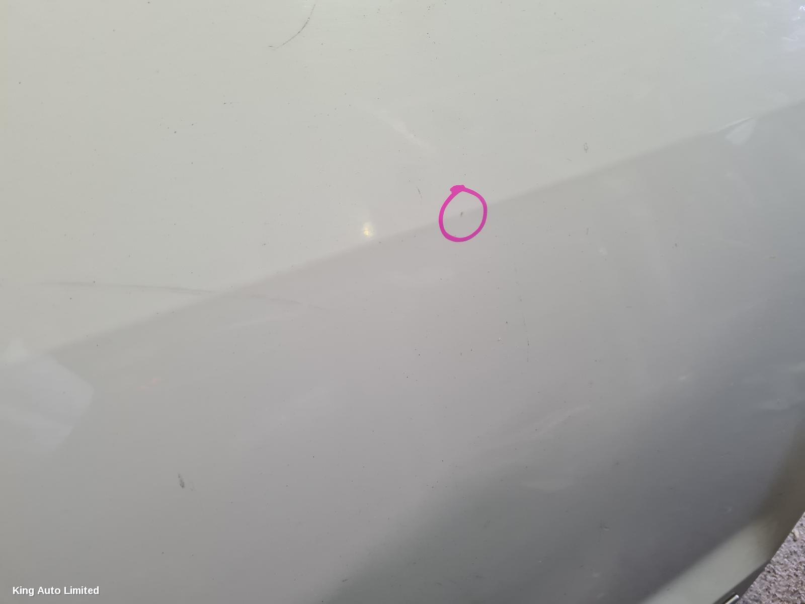 Holden STATESMAN/CAPRICE 2013 Left Rear Door/Sliding thumbnail 3