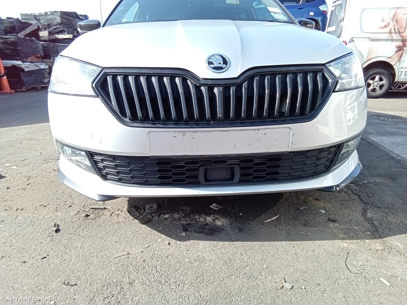 Skoda FABIA 2020 Left Front Door thumbnail 2